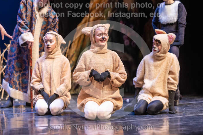 20260304154127-R3-639842