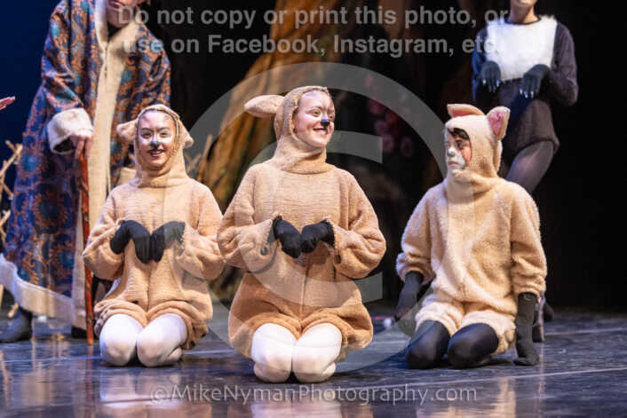 20260304154129-R3-639845