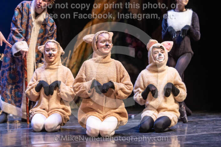 20260304154131-R3-639846