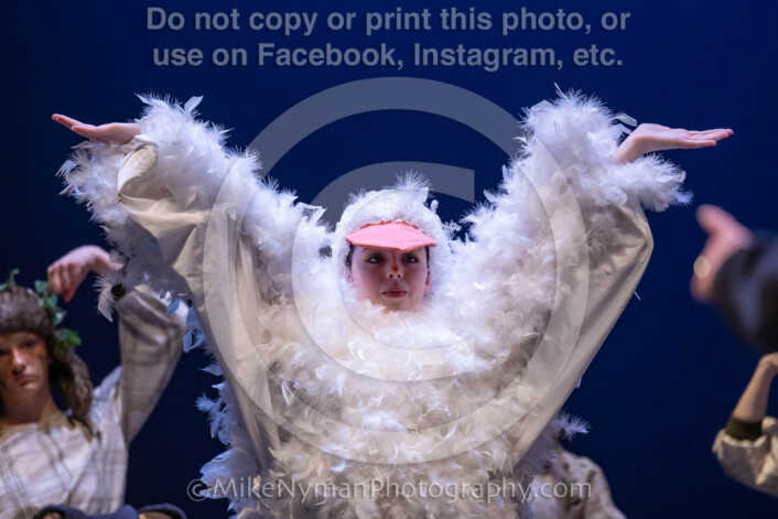 20260304154135-R3-639847