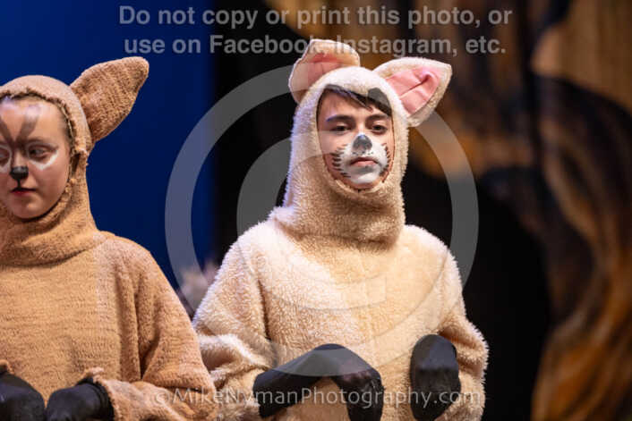 20260304154151-R3-639849