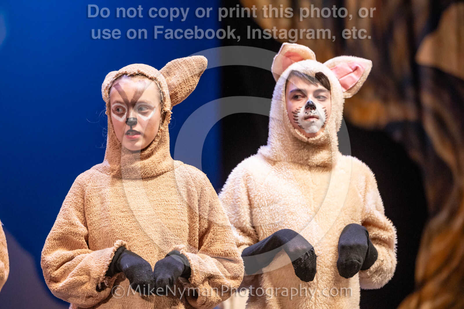 20260304154155-R3-639851