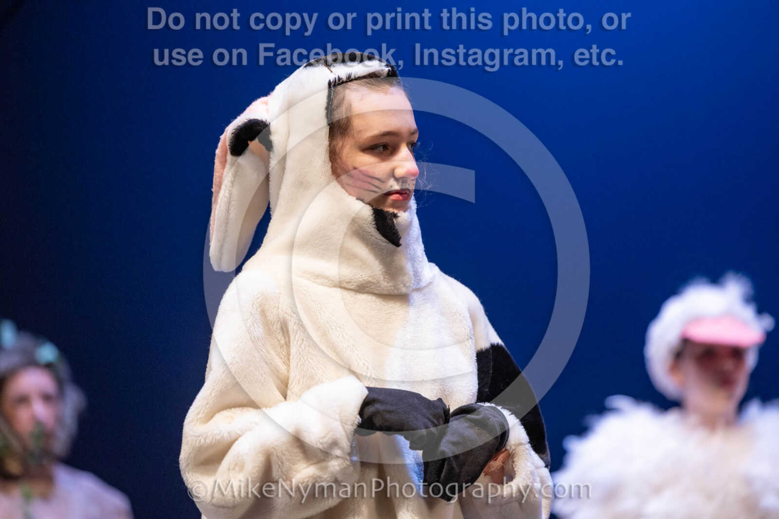 20260304154200-R3-639852