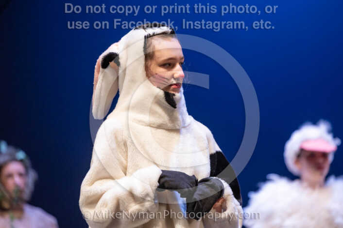 20260304154200-R3-639852