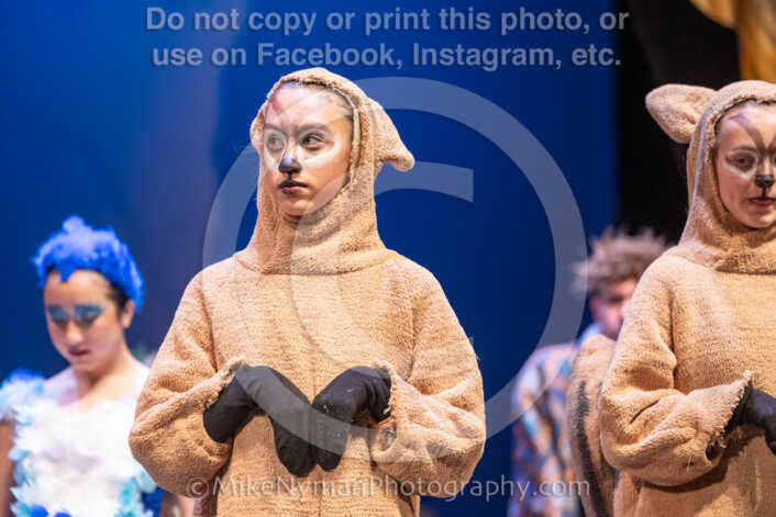 20260304154210-R3-639858