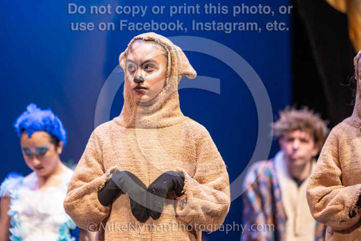 20260304154210-R3-639859