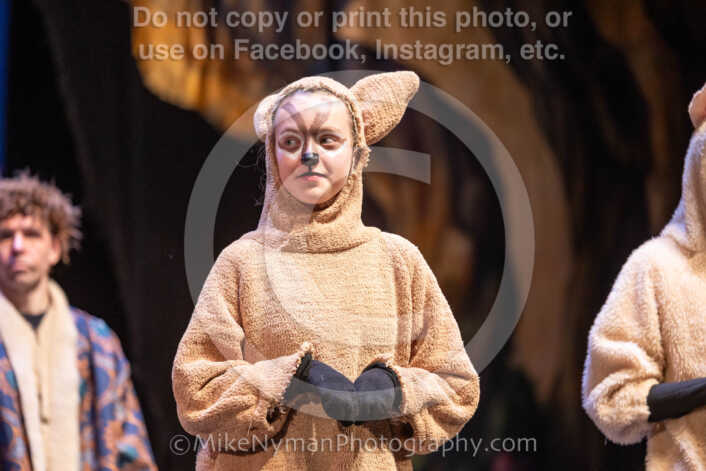 20260304154214-R3-639862