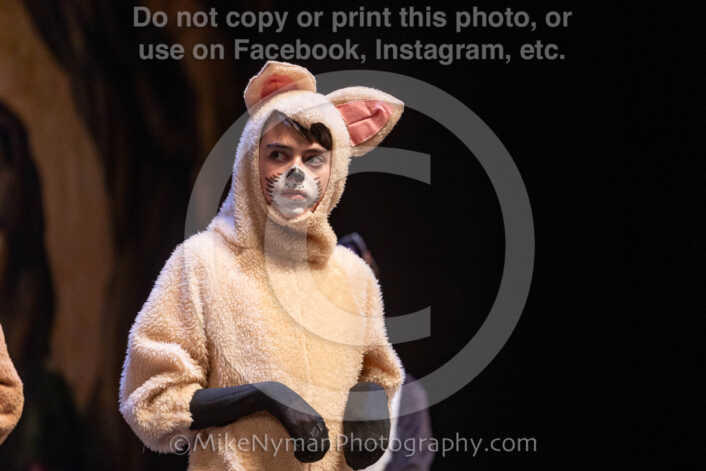 20260304154215-R3-639863