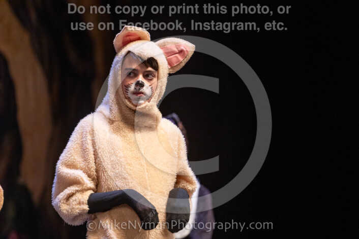 20260304154216-R3-639864