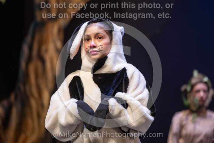 20260304154219-R3-639865