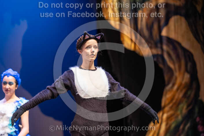 20260304154357-R3-639884