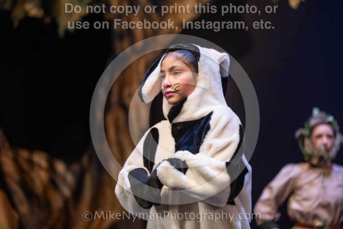 20260304154601-R3-639904