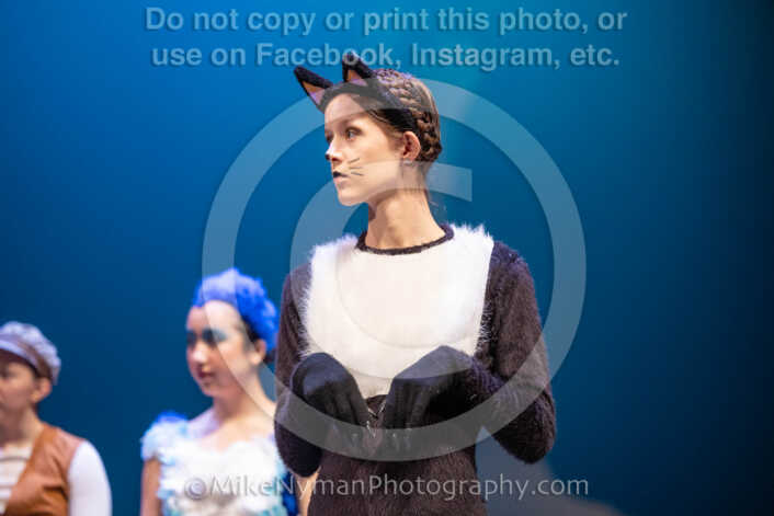 20260304154646-R3-639917