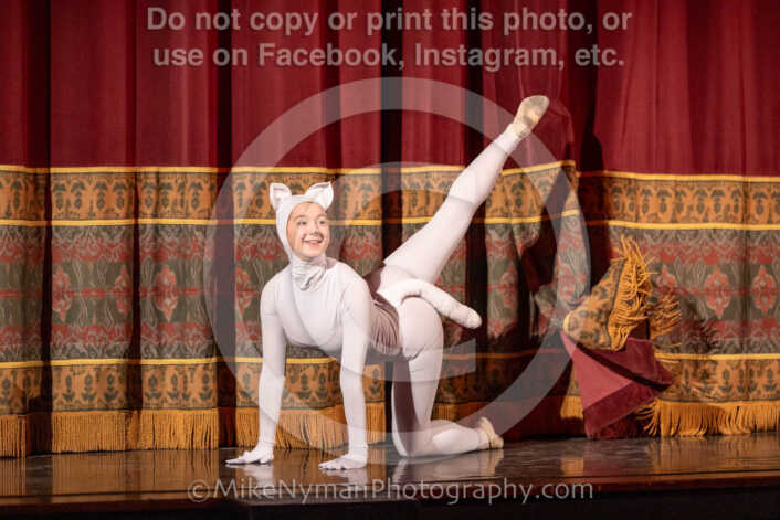 20260304161735-R3-639978