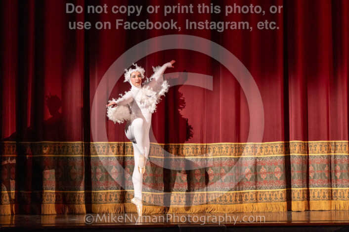 20260304161744-R3-639980