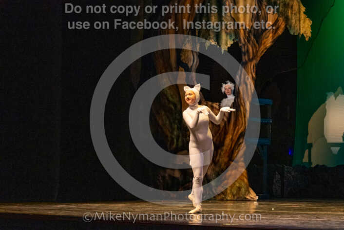 20260304162546-R62-100913