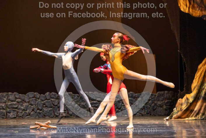 20260304162801-R3-640185