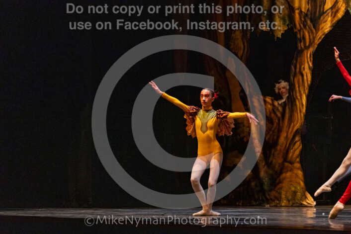 20260304162816-R62-100936