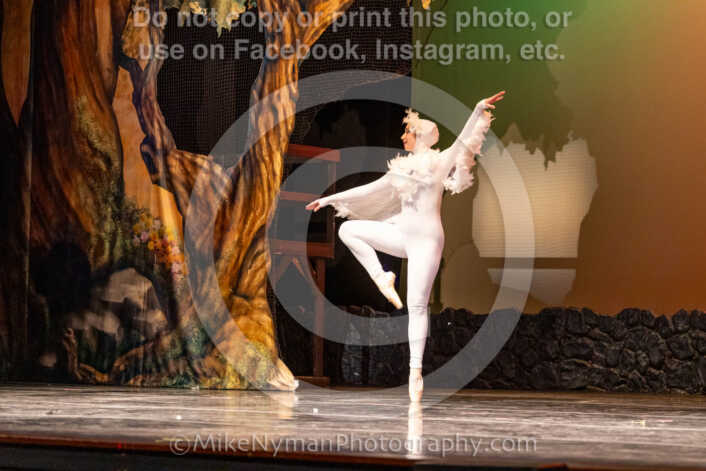 20260304162916-R62-100938