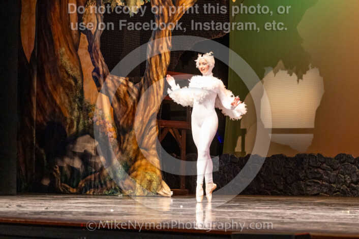 20260304162918-R62-100939