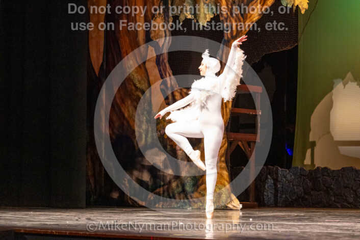 20260304162921-R62-100940