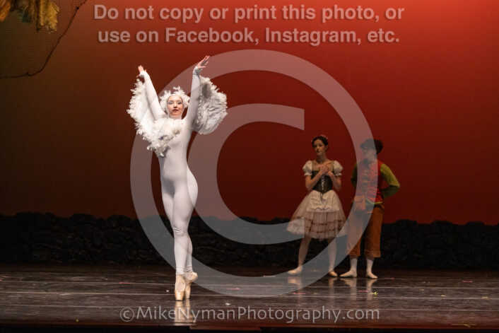 20260304162928-R3-640215