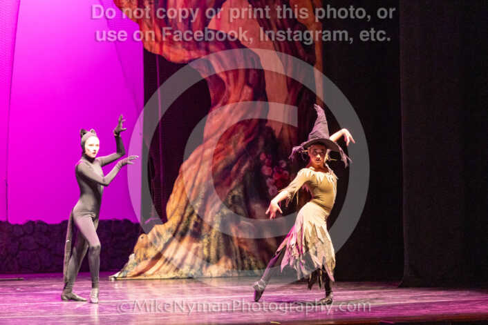 20260304163325-R3-640315