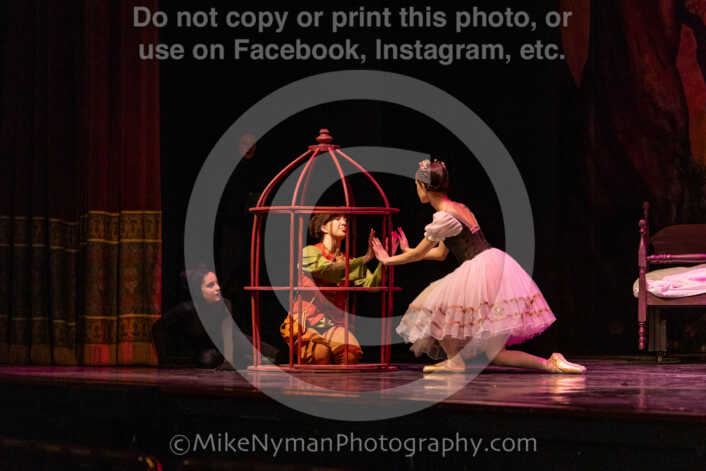 20260304163440-R62-101003