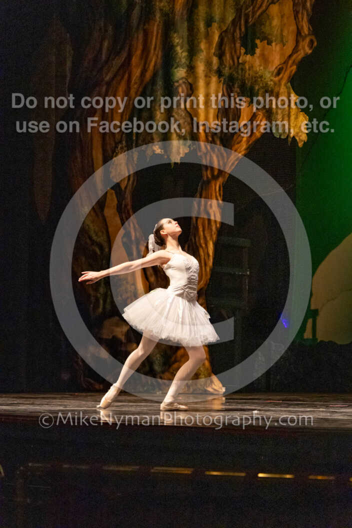 20260304163949-R62-101073