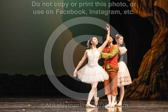 20260304164015-R3-640459